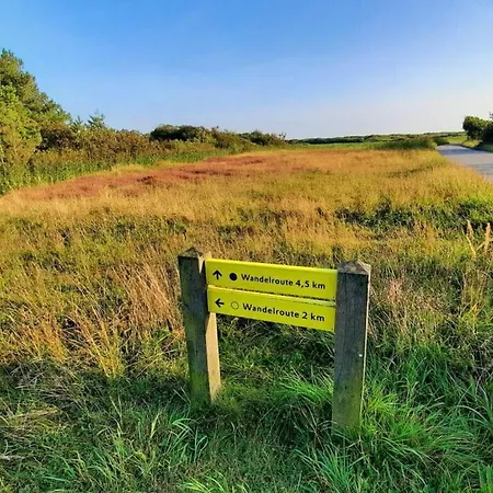Mooy Aan Zee Modern Retreat Callantsoog